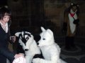 DSCF2791.JPG